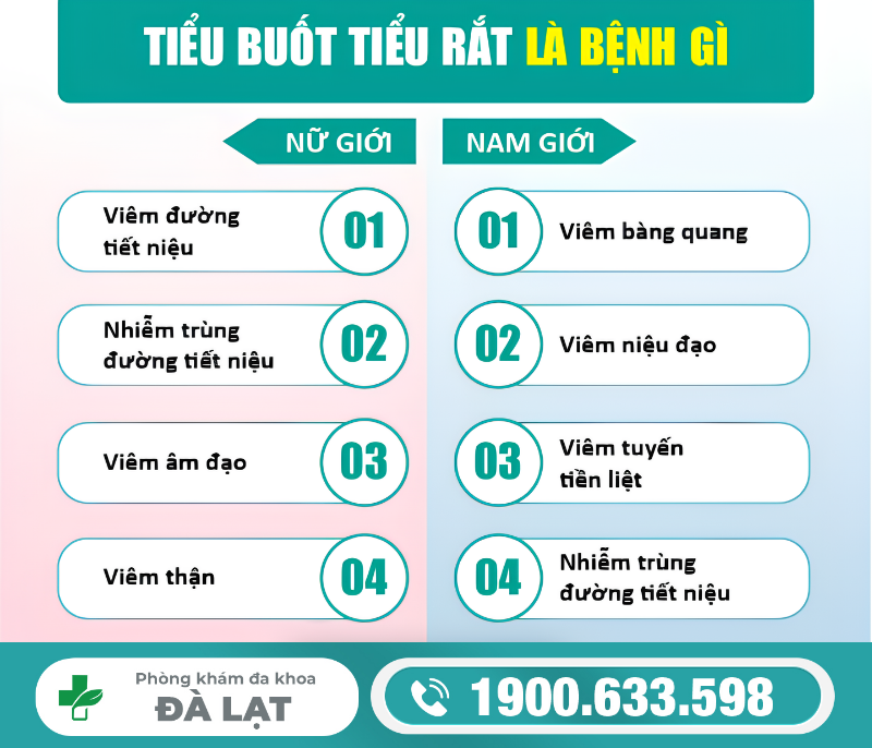 Hình ảnh minh họa